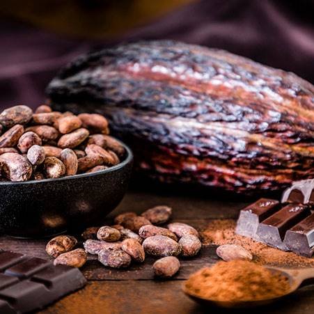 Kakao Çekirdeğinden Lezzet Şölenine: Çikolatanın Yolculuğu